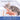 ActivePaws Shrimp Cat Toy - Paws Claws & More