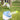 FetchPro Ball Launcher - Paws Claws & More