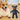 PawDurable Squeaking Toy - Paws Claws & More