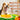 PawPlay Sniff & Seek Mat - Paws Claws & More