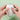 Purrfect Lint Remover - Paws Claws & More