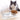 PurrPosture Bowl - Paws Claws & More