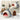 SharkCove Snuggle Bed - Paws Claws & More