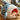 SharkCove Snuggle Bed - Paws Claws & More
